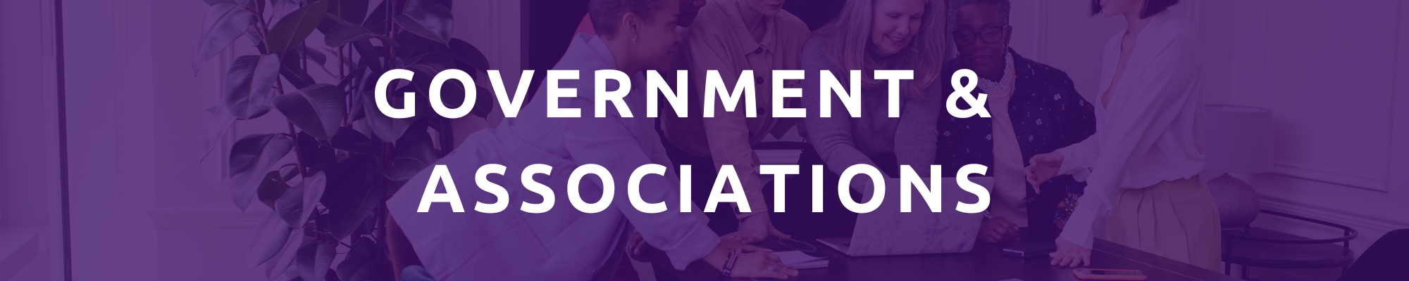 Government Organizations, Professional Associations and Programs