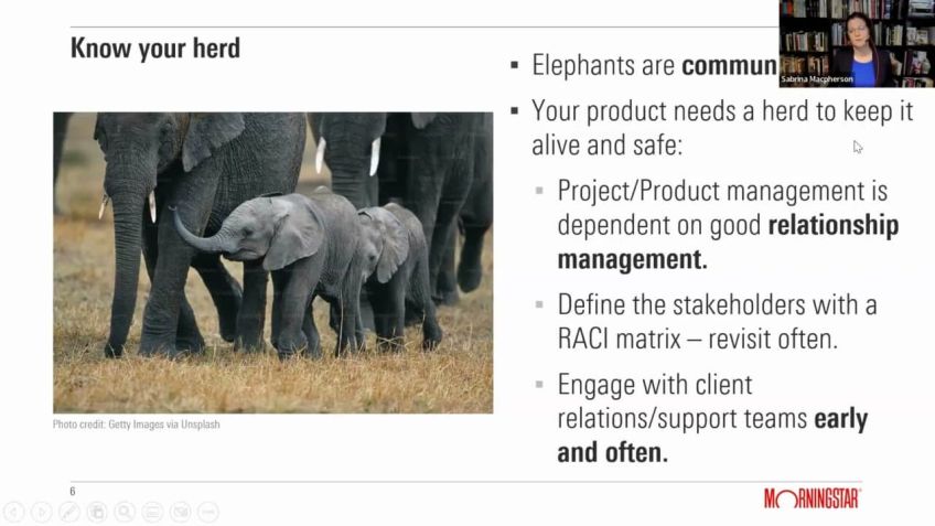 Embedded thumbnail for The Care &amp; Keeping of Baby Elephants: how to successfully manage long-duration product development. 